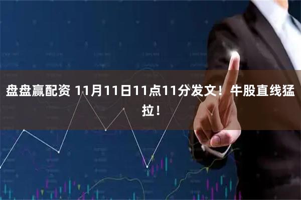 盘盘赢配资 11月11日11点11分发文！牛股直线猛拉！