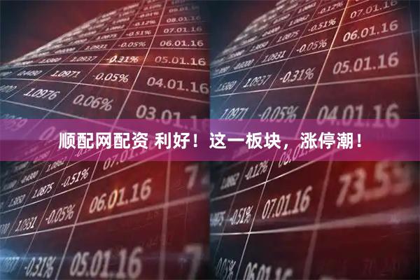 顺配网配资 利好！这一板块，涨停潮！