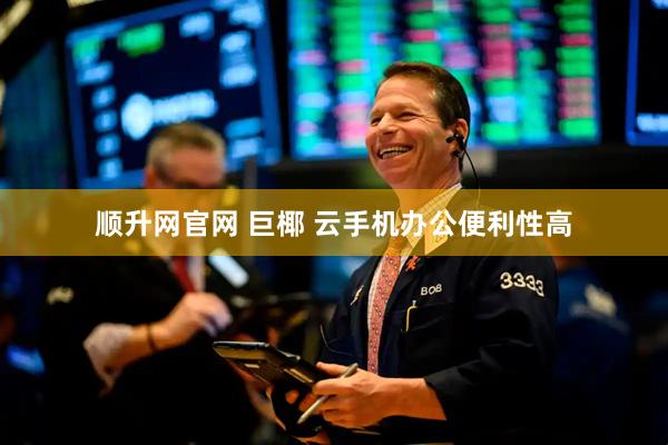 顺升网官网 巨椰 云手机办公便利性高