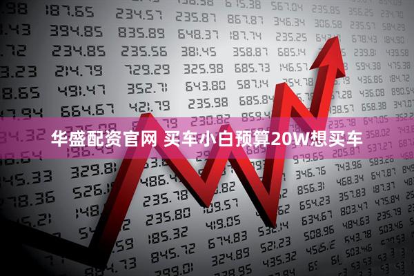华盛配资官网 买车小白预算20W想买车